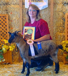 Tracy Teichert
